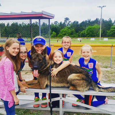 Limitless K9 of Jacksonville, Fl service dog with children at a softball game. 