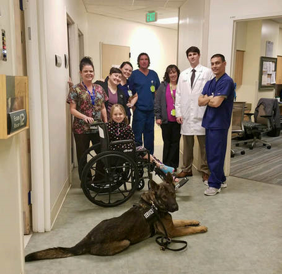 A Limitless K9 service dog and his handler, who is in a wheelchair, with the staff of a hospital. 
